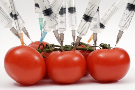 GMOs: What They Really Do to You and the Environment